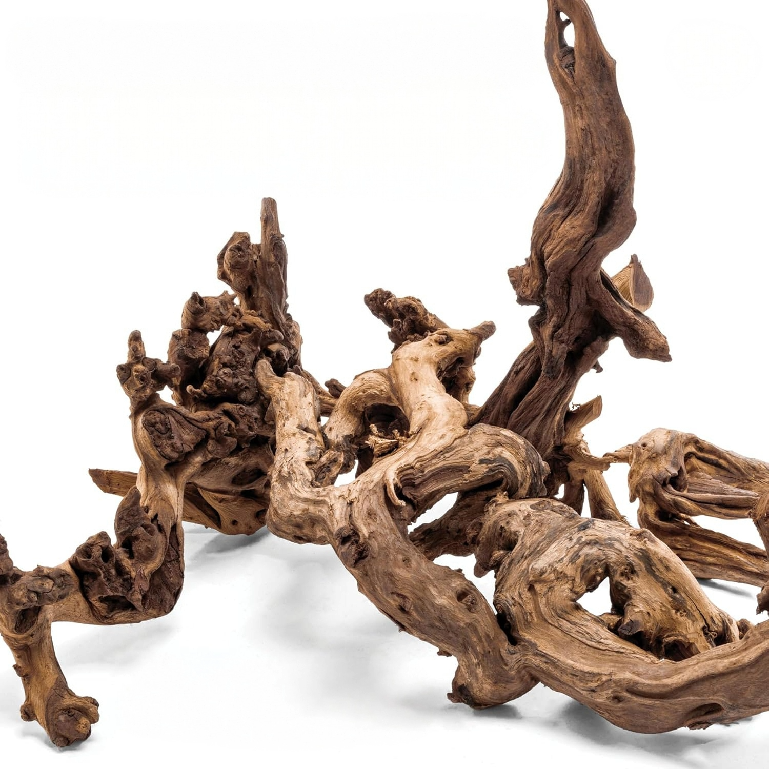 Amazon Forest Driftwood for Aquariums