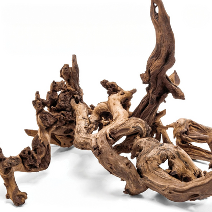 Amazon Forest Driftwood for Aquariums