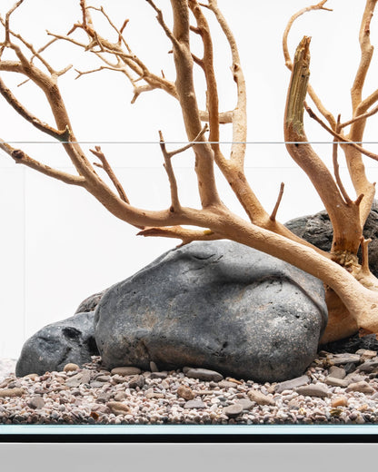 Sandblasted Manzanita Driftwood